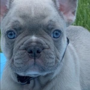 Meet your Posher, Jillian